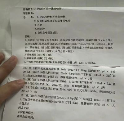 女真冤堂堂三甲医院面对常见蛇伤却毫无办法尊龙凯时新版APP首页三亚被蛇咬死的美(图4)